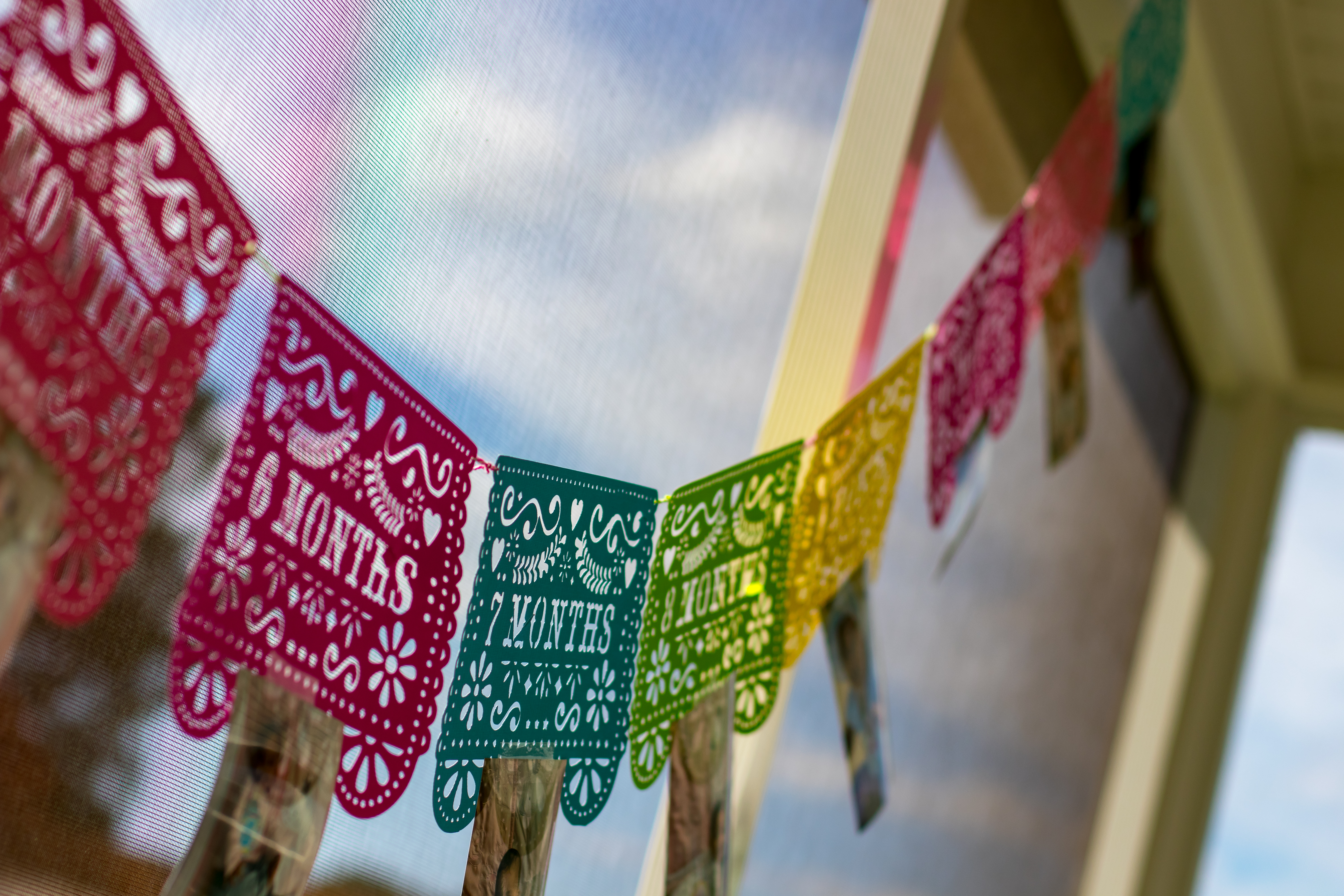 First Birthday Banner First Fiesta Decorations Papel Picado First Year Monthly Photo Banner